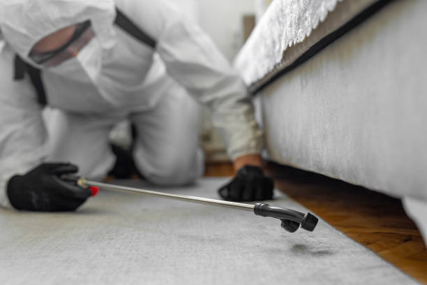 Professional Pest Control technician working in Port Orchard, WA