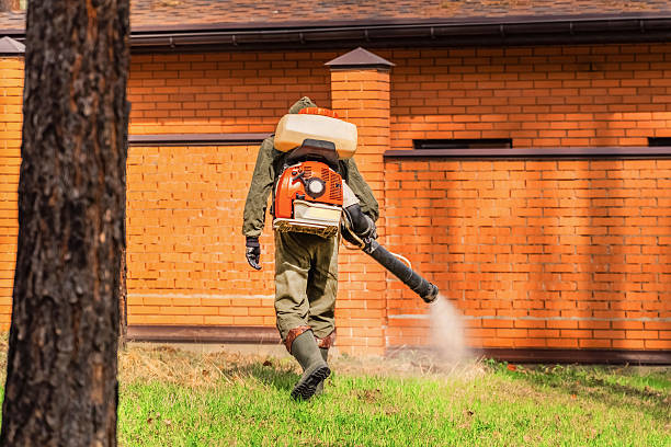 Trusted Cockroach Control service in Port Orchard, WA - Nex Pest Control